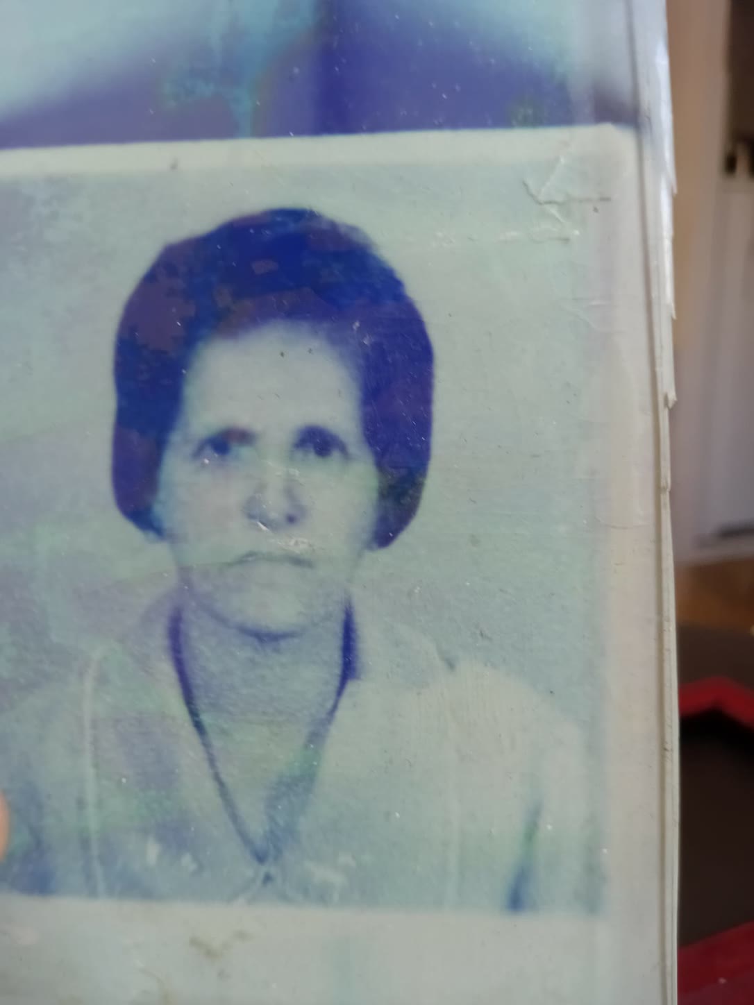 Retrato 3x4 — foto de documento original, azulada e riscada